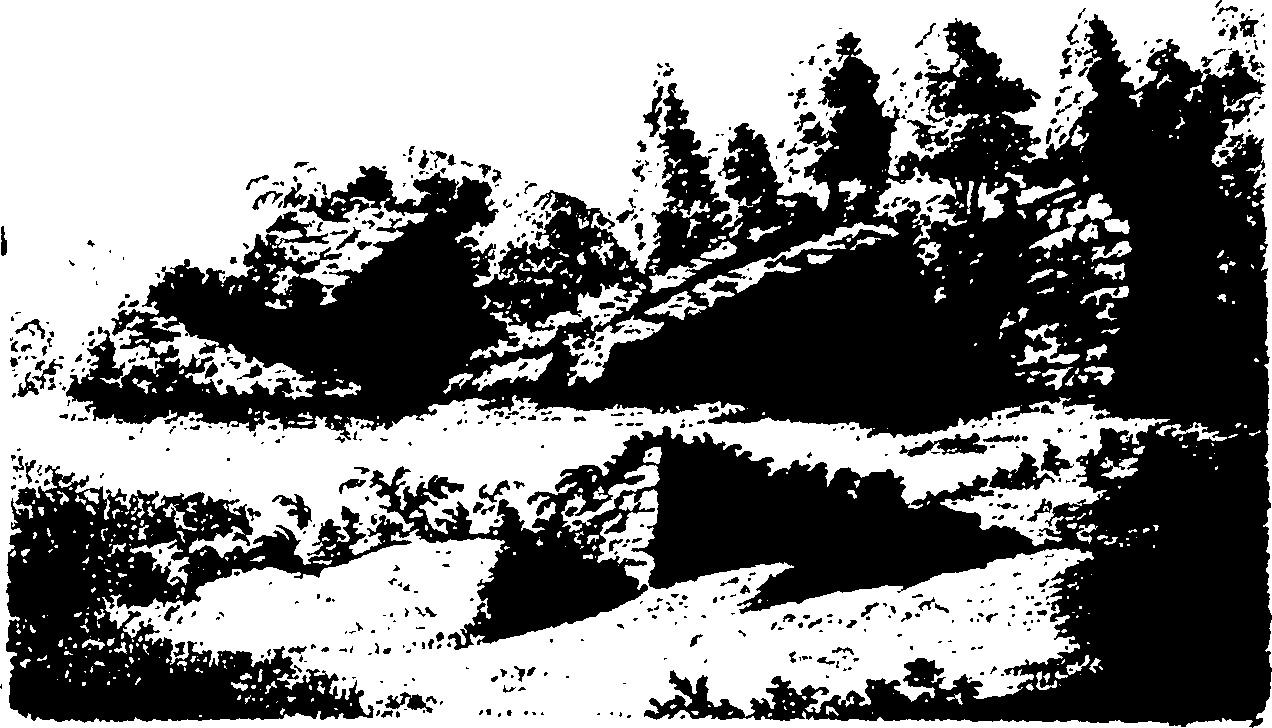 008/008640070000890_0.png