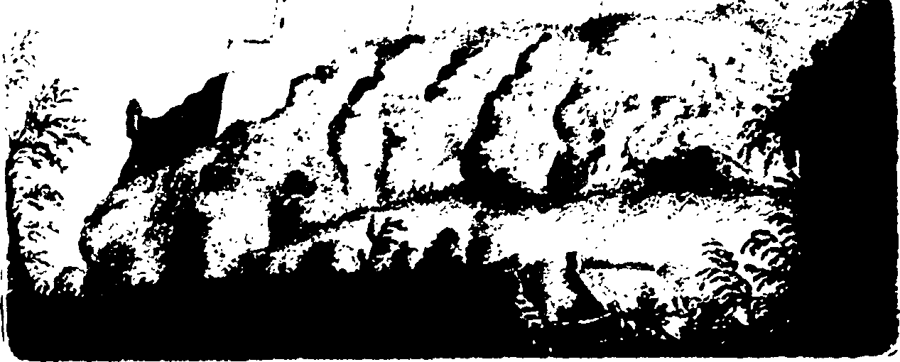 008/008640070000930_0.png
