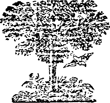 008/008700020102160_0.png