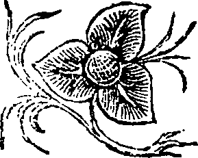 008/008700020202970_0.png
