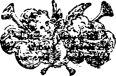 008/008700020502010_0.png
