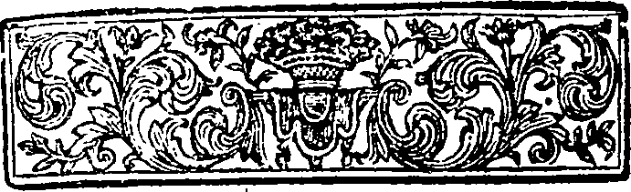 008/008700020502590_1.png