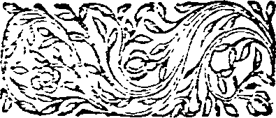 008/008710010200990_0.png