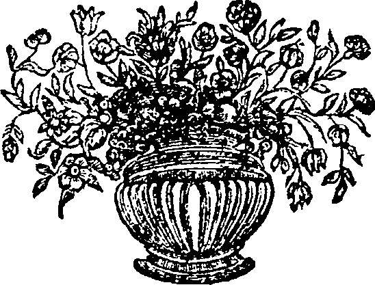008/008710010202020_0.png
