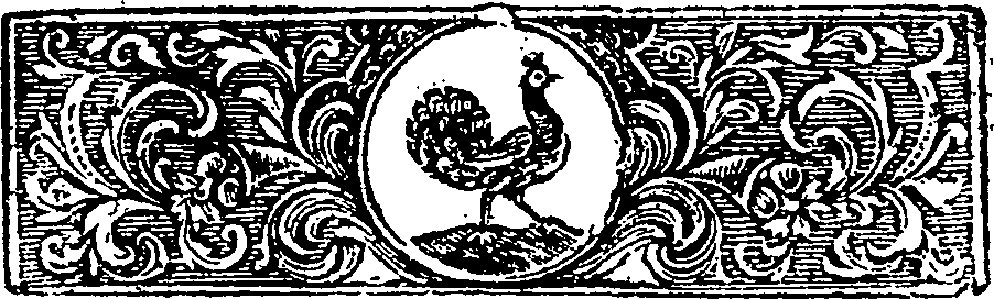009/009220080000020_2.png