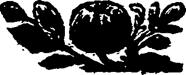 009/009510080200070_0.png