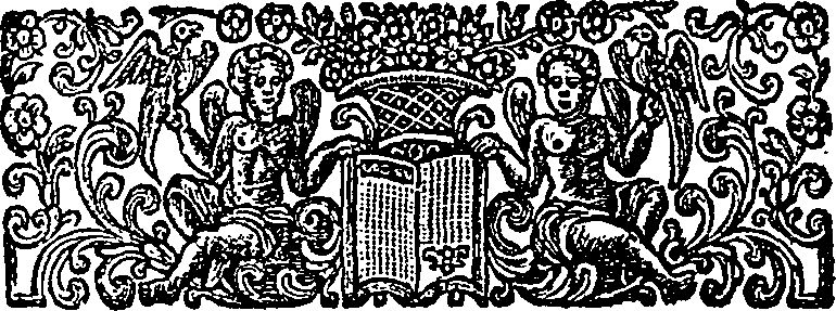009/009950280000030_1.png