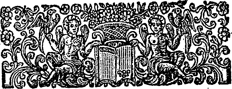 009/009950280000170_2.png