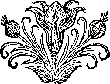 010/010030290000020_0.png