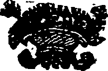 010/010040100001240_0.png