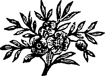 010/010120180000420_0.png