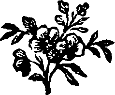010/010120180000570_0.png