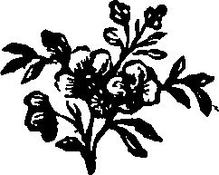 010/010120180001270_0.png