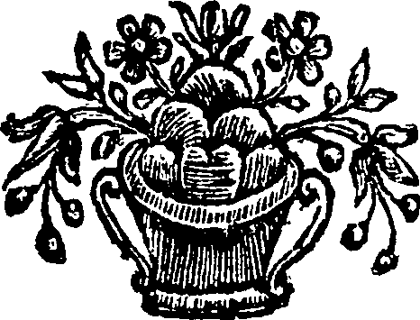 010/010380050300050_0.png