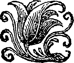010/010500020102440_0.png