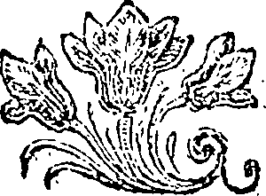010/010500020402270_0.png