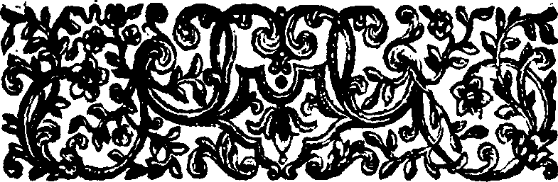 010/010550010101510_2.png