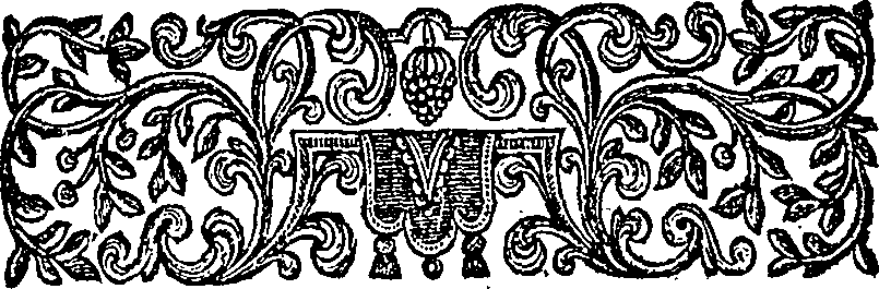 010/010550010200740_2.png