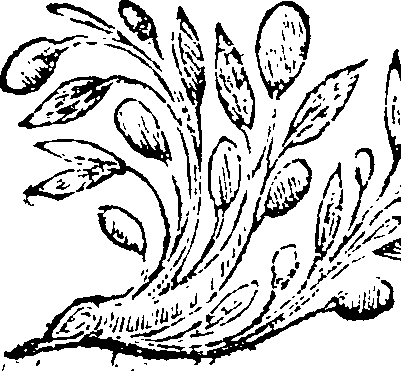 010/010560140003270_0.png