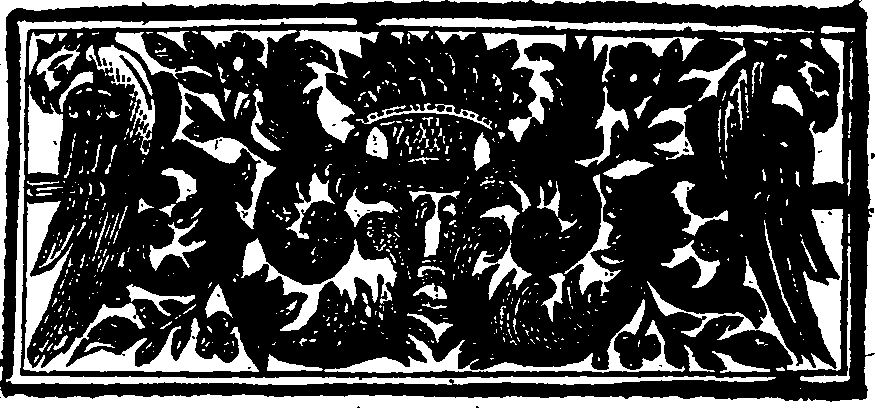 010/010620060200040_0.png
