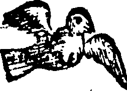 010/010630160000010_0.png