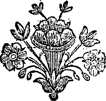 010/010640010404660_0.png
