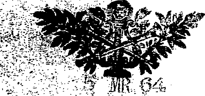 010/010830030001420_0.png