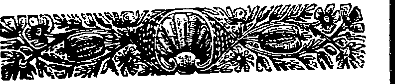 011/011090240001610_1.png