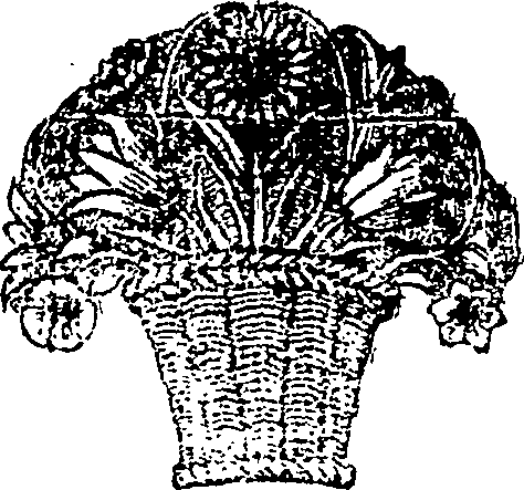 011/011090240001920_0.png