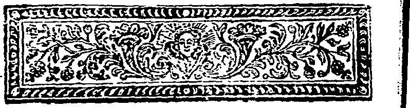 011/011090240001970_1.png