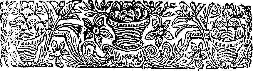 011/011100120000030_1.png