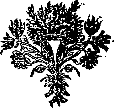011/011130090000040_0.png