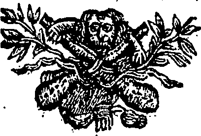 011/011210270000260_0.png