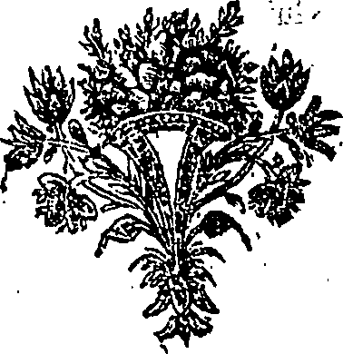 011/011210270000620_0.png