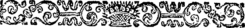 011/011290060202560_0.png