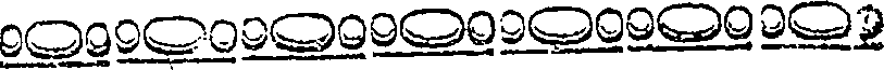 011/011290070302830_0.png