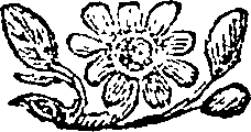 011/011430070203770_0.png