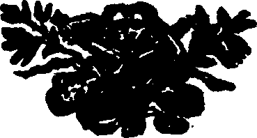 011/011530100000010_1.png