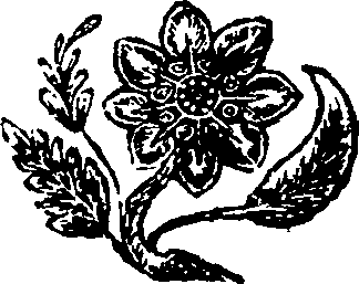 011/011530140203210_0.png