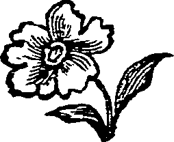011/011710040001050_0.png