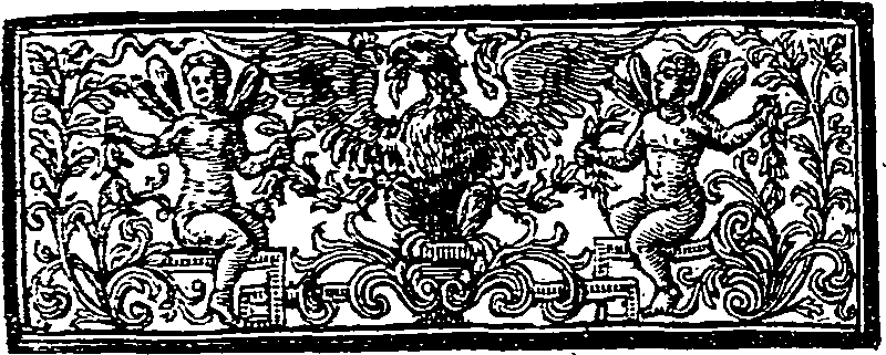011/011780030002920_2.png