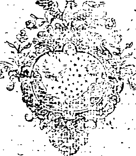 012/012260180000310_0.png