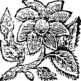 012/012640100000740_0.png
