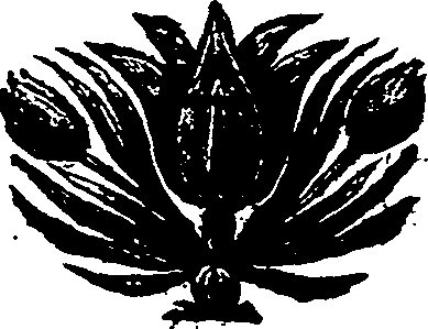 012/012710290000030_0.png