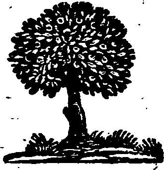 012/012720160000280_0.png