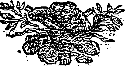 012/012960340000010_0.png