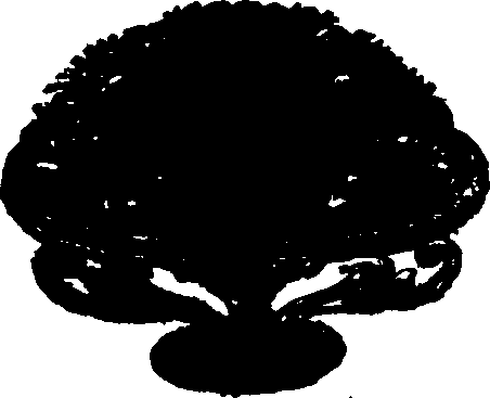 012/012970690000010_0.png