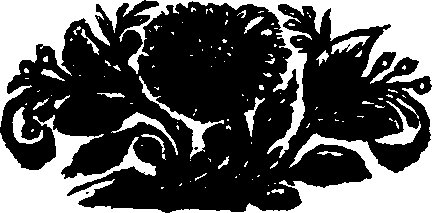 013/013010140000300_0.png