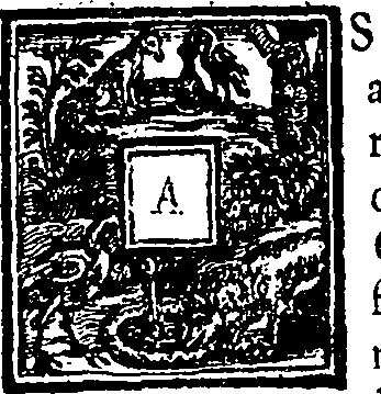 013/013060210000020_0.png