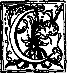 013/013130090000020_0.png